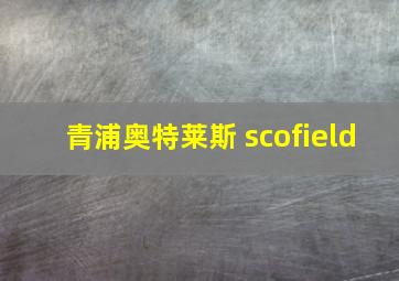 青浦奥特莱斯 scofield